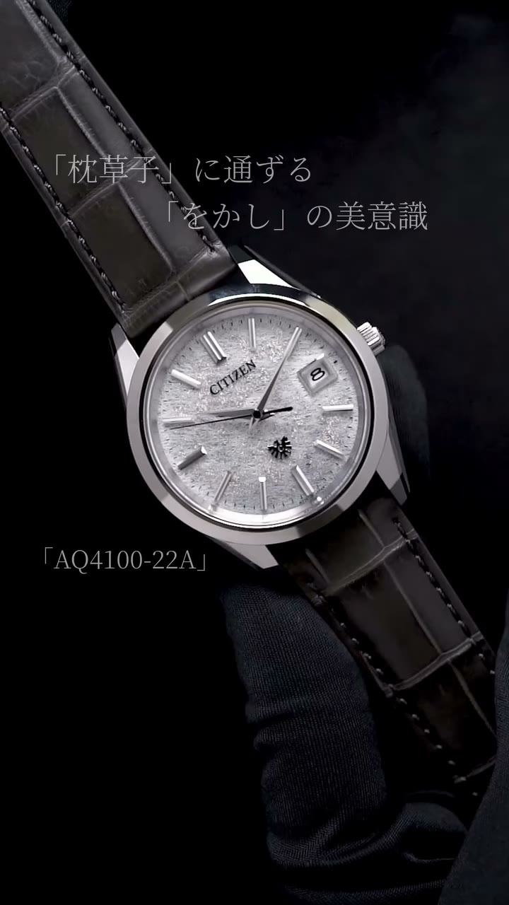 The CITIZEN AQ4100-22A