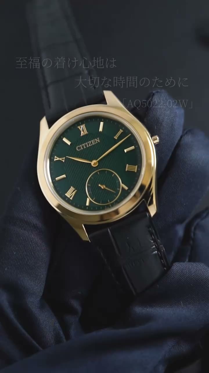 The CITIZEN AQ5022-02W